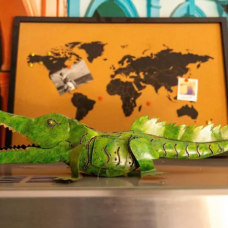 Domloc * Carcassonne